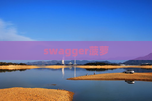 swagger菠萝